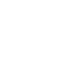 Shining star burst outline icon
